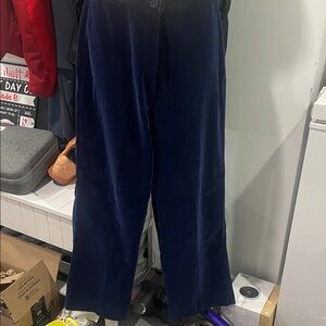 Velour Wide-Leg Pants in Deep Blue